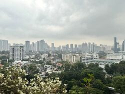Honolulu Tower (D10), Apartment #618980401